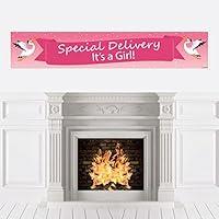 Algopix Similar Product 6 - Big Dot of Happiness Girl Special