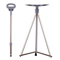 Algopix Similar Product 9 - DINVES Portable Cane Seat Walking Cane