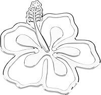 Algopix Similar Product 5 - Cruiser Accessories 83023 Hibiscus