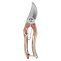 Algopix Similar Product 13 - Secateurs Steel Blade Pruning Shears