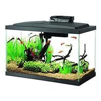 Algopix Similar Product 15 - Aqueon Aquarium Fish Tank Starter Kit