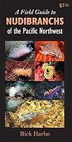 Algopix Similar Product 15 - A Field Guide to Nudibranchs of the
