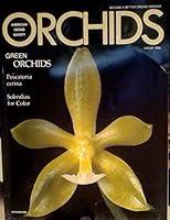 Algopix Similar Product 17 - Green Orchids  Pescatoria Cerina 