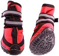 Algopix Similar Product 19 - Fashion Pet Performance Waterproof Dog