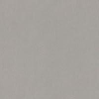 Algopix Similar Product 19 - Wilsonart Laminate 4830K18 Satin