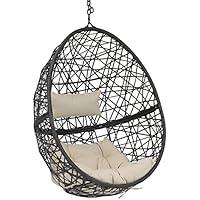 Algopix Similar Product 4 - Sunnydaze Caroline Hanging Resin Wicker