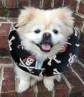 Algopix Similar Product 16 - Puppy Bumper  Keep Your Dog on The