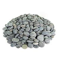 Algopix Similar Product 3 - Mexican Beach Pebbles  20 Pounds of