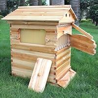 Algopix Similar Product 4 - BeeHoneyFlow hive Flows hive Beehive