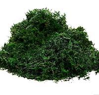 Algopix Similar Product 14 - Byher 92926 Preserved Forest Moss