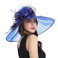 Algopix Similar Product 17 - Womens Organza Church Derby Fascinator