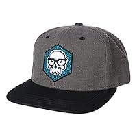 Algopix Similar Product 2 - JINX Brand Distortion Skully Snapback