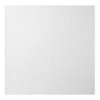 Algopix Similar Product 20 - Genesis 2ft x 2ft White Stucco Pro