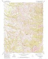 Algopix Similar Product 8 - YellowMaps South Toiyabe Peak NV topo