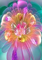 Algopix Similar Product 2 - Yeefant Pink Transparent Gradient