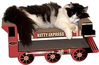 Algopix Similar Product 8 - Imperial Cat Kitty Express Train