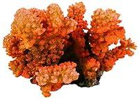 Algopix Similar Product 17 - Decorative Fish Tank Coral, 12cm