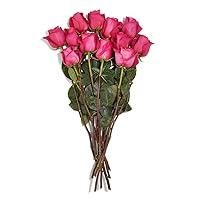 Algopix Similar Product 3 - FLORAL Roses 12 Stem, 1 EA