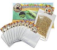 Algopix Similar Product 4 - Green Lacewing 5000 Eggs - Good Bugs