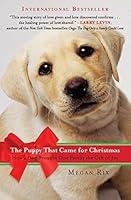 Algopix Similar Product 17 - The Puppy That Came for Christmas How