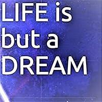 Algopix Similar Product 17 - Life Is but a Dream A Pathway into the