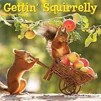 Algopix Similar Product 8 - Willow Creek Press Gettin Squirrelly