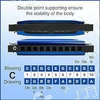 EastRock Blues Harmonica Mouth Organ 10 Hole C Key with Case, Diatonic  Harmonica for Professional Player, Beginner, Students Gifts, Adult,  Friends, Gift （Black） 