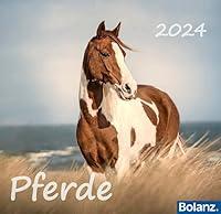 Algopix Similar Product 16 - Horses 2024