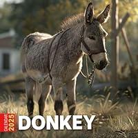 Algopix Similar Product 11 - Donkey Calendar 2025 365 Days of