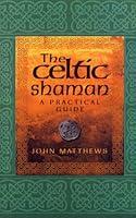 Algopix Similar Product 16 - The Celtic Shaman (Practical Guide)