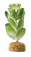 Algopix Similar Product 20 - Exo Terra Jade Cactus Terrarium Plant
