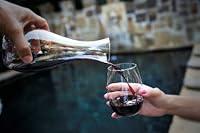 Algopix Similar Product 16 - Govino Go Anywhere Dishwasher Safe