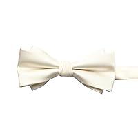 Algopix Similar Product 1 - CHENATING Bowtie For Men Wedding