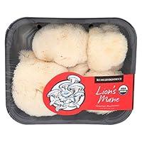 Algopix Similar Product 19 - Mushroom Lions Mane Organic, 4 Ounce