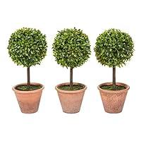 Algopix Similar Product 3 - Faux Boxwood  3 Matching Realistic
