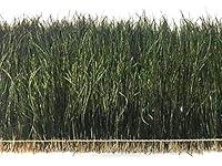 Algopix Similar Product 4 - 3 Inch Strip  57 Natural Iridescent