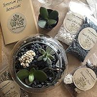 Algopix Similar Product 12 - Complete DIY Terrarium Kit by Living