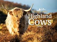 Algopix Similar Product 20 - Villager Jim's Highland Cows