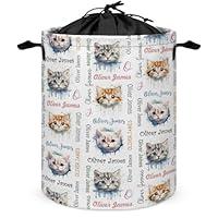 Algopix Similar Product 2 - Cat Personalized Baby Laundry Basket