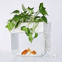 Algopix Similar Product 3 - Joyfay Aquaponic Fish Tank Fish Tank