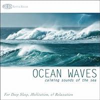 Algopix Similar Product 1 - Ocean Waves Calming Sounds of the Sea