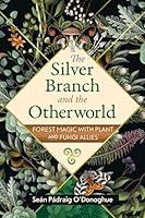 Algopix Similar Product 11 - The Silver Branch and the Otherworld