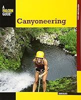 Algopix Similar Product 1 - Canyoneering A Guide To Techniques For