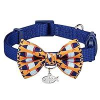 Algopix Similar Product 17 - Blueberry Pet Timeless Navy Blue