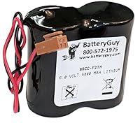 Algopix Similar Product 4 - BatteryGuy 3V 3500mAh Lithium