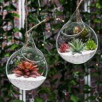 Algopix Similar Product 1 - Set of 2 Decorative Clear Glass