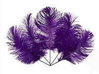 Algopix Similar Product 18 - Moonlight Feather  12 Lb  Purple