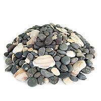 Algopix Similar Product 11 - Mexican Beach Pebbles  20 Pounds of