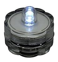 Algopix Similar Product 14 - Bluedot Trading LED Battery Operated