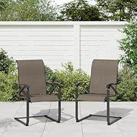 Algopix Similar Product 12 - DollarDash Set of 2 Patio Chairs